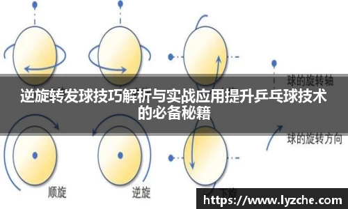 逆旋转发球技巧解析与实战应用提升乒乓球技术的必备秘籍